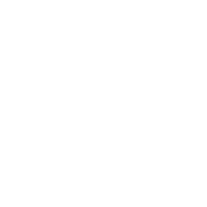 The Next Step Group